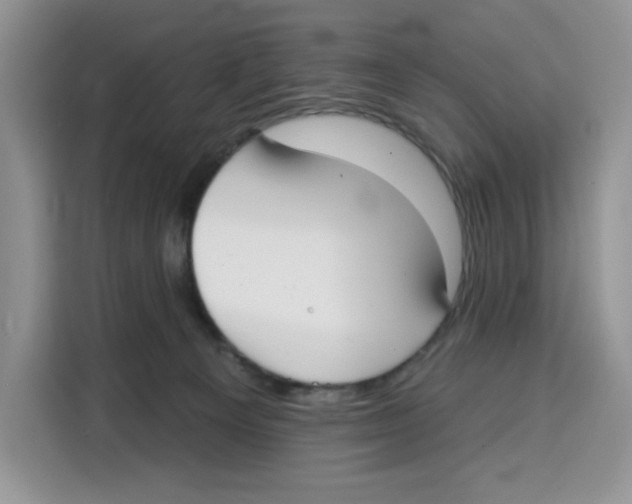 X0000115090129200911241221