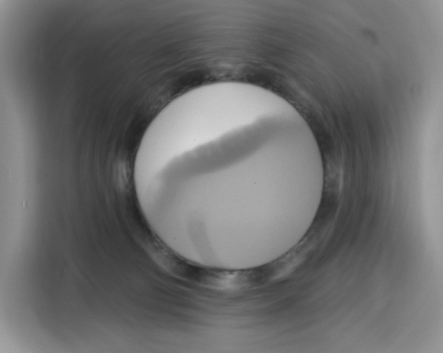 X0000115090130200911241221