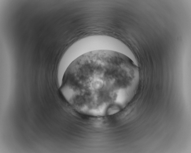 X0000115090131200911241221