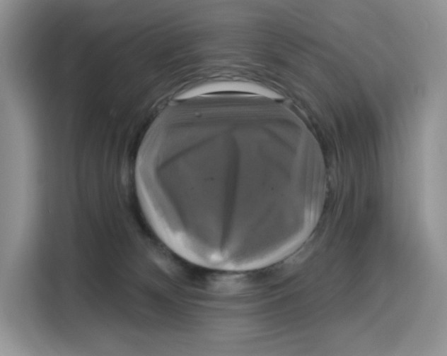 X0000115090132200911241221