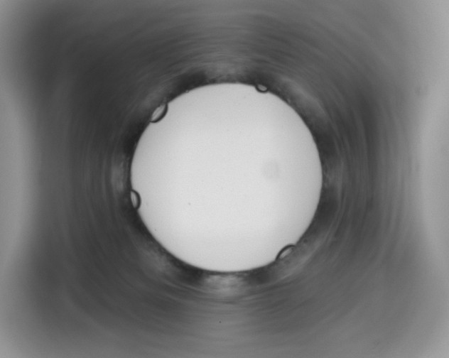 X0000115090133200911241221