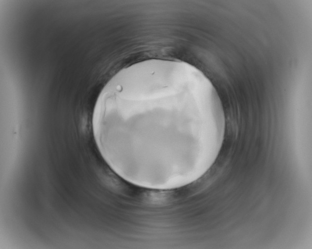X0000115090134200911241221