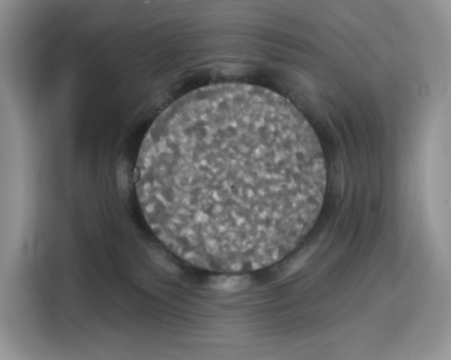 X0000115090135200911241221