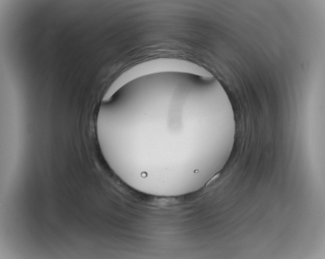 X0000115090137200911241221