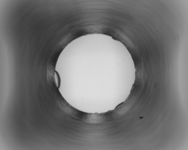 X0000115090141200911241221