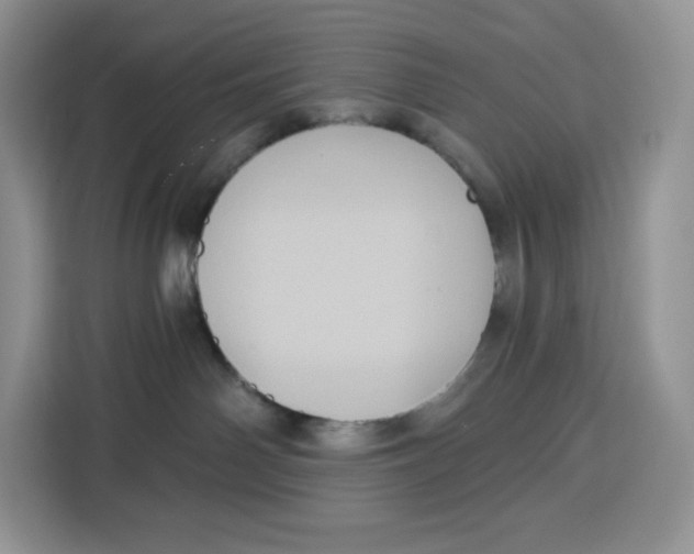 X0000115090142200911241221
