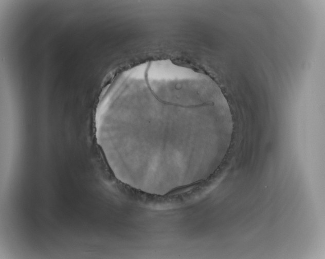 X0000115090144200911241221