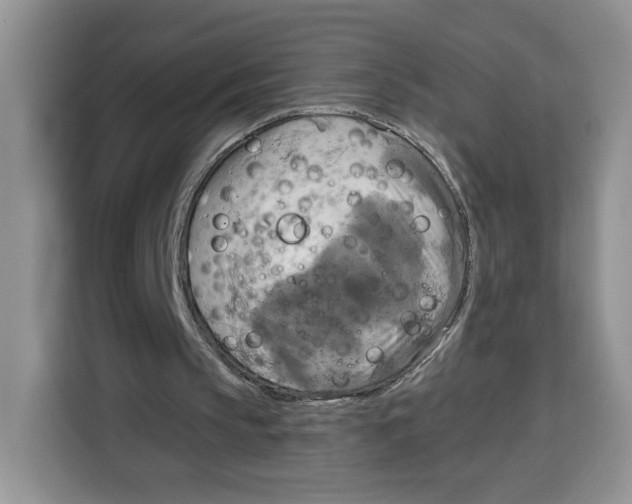 X0000115090145200911241220