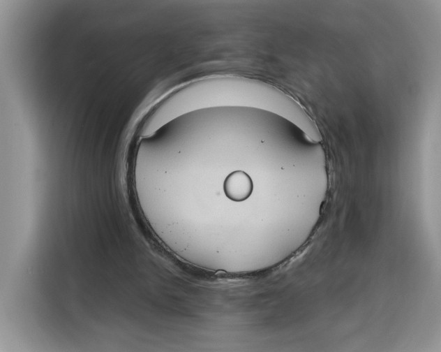 X0000115090150200911241220
