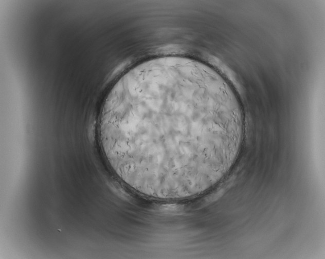 X0000115090153200911241220