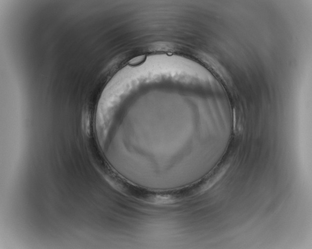 X0000115090157200911241220