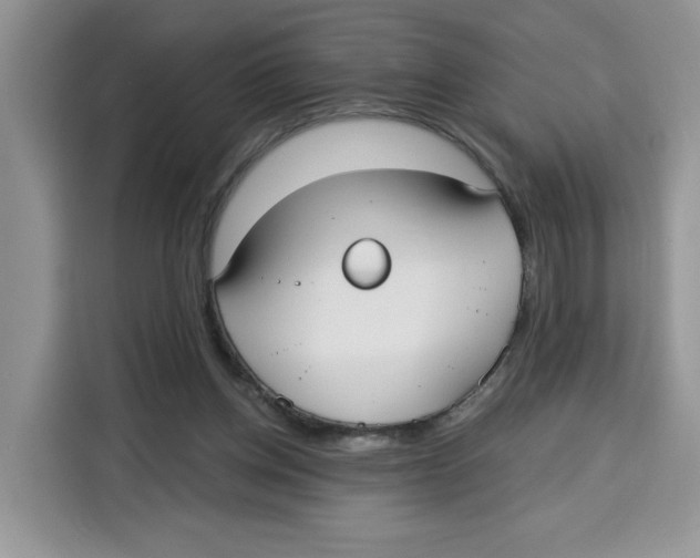 X0000115090158200911241220