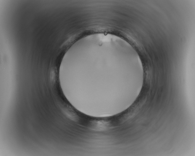 X0000115090165200911241220