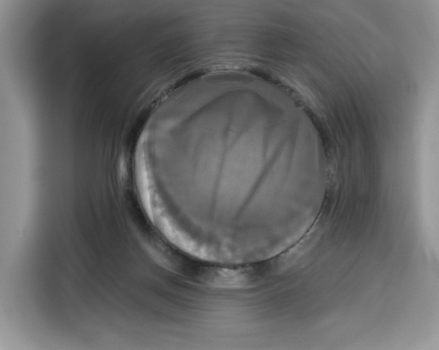X0000115090166200911241220
