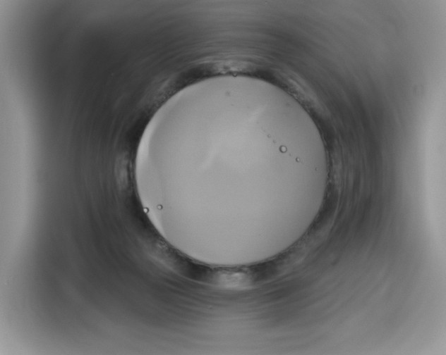X0000115090169200911241220
