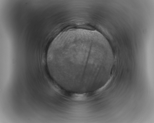 X0000115090170200911241220