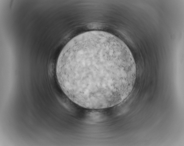 X0000115090171200911241220