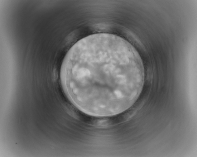 X0000115090173200911241220