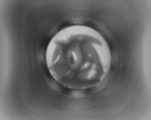 X0000115090175200911241220