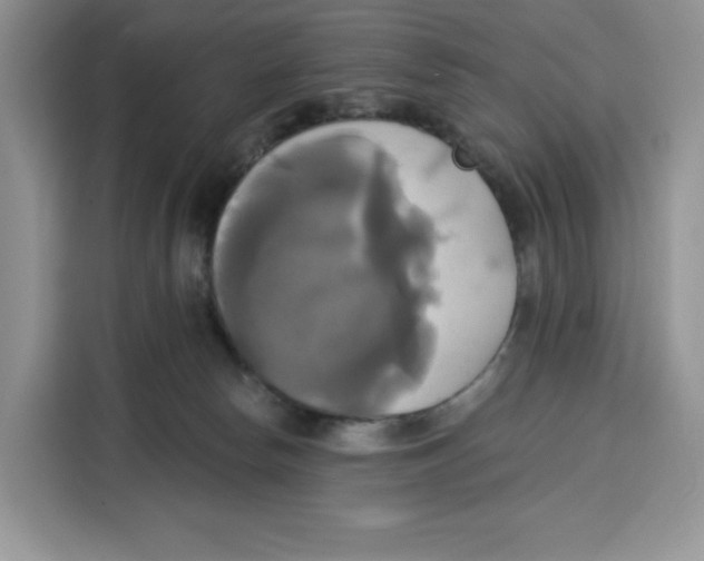 X0000115090178200911241220