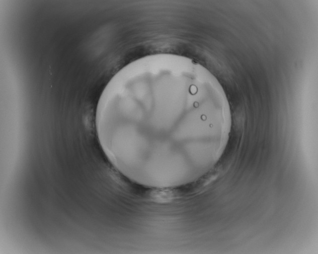 X0000115090181200911241221