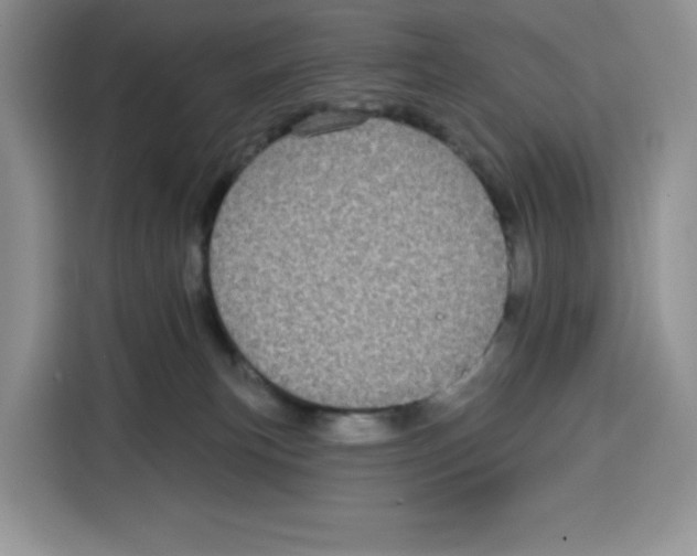 X0000115090183200911241221