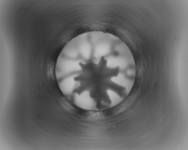 X0000115090185200911241221