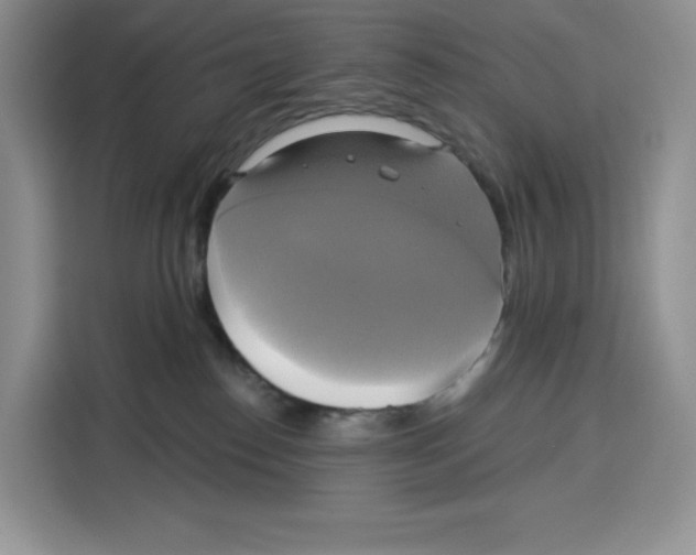 X0000115090186200911241221
