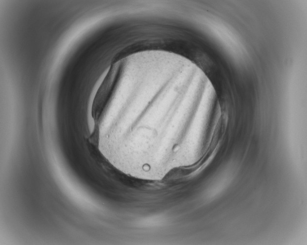 X0000115090190200911241221