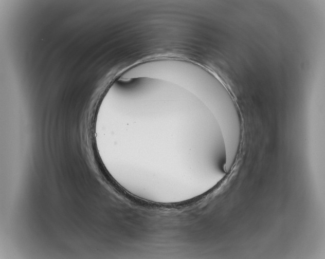 X0000115090193200911241220