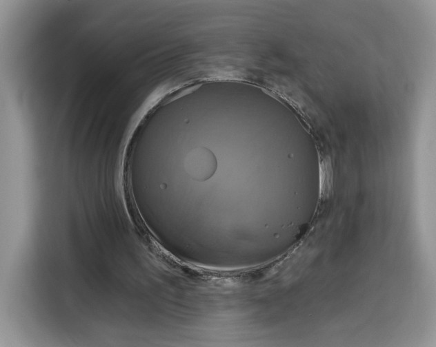 X0000115090195200911241220