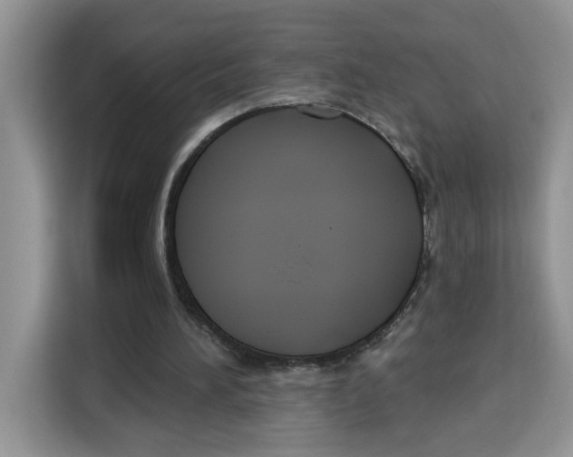 X0000115090196200911241220