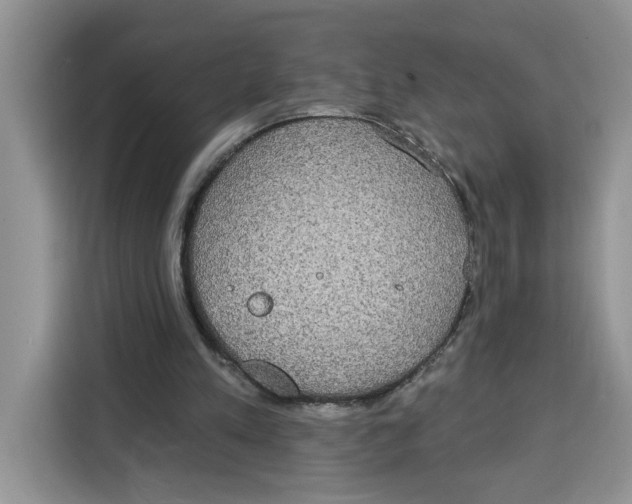 X0000115090197200911241220