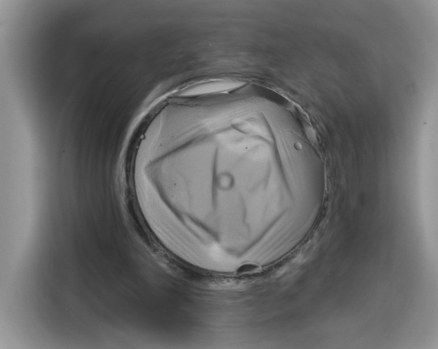 X0000115090198200911241220