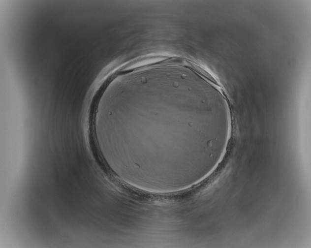X0000115090199200911241220