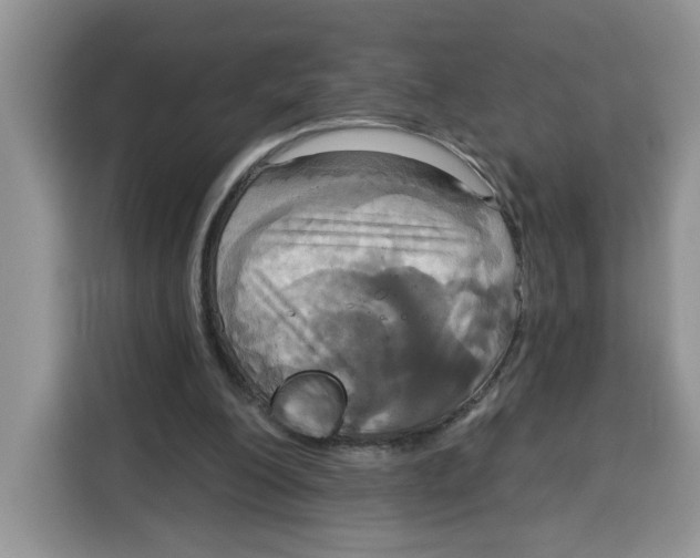 X0000115090200200911241220