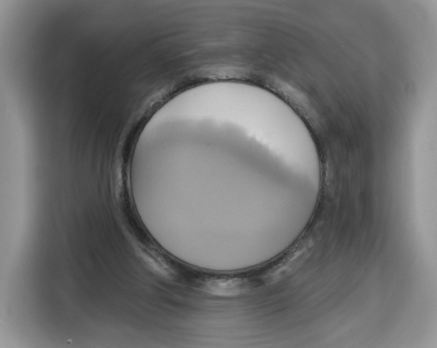 X0000115090202200911241220
