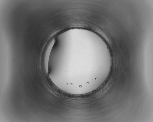 X0000115090203200911241220