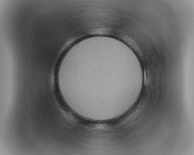 X0000115090204200911241220