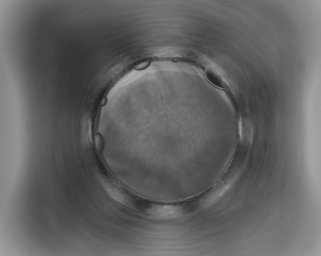 X0000115090205200911241220