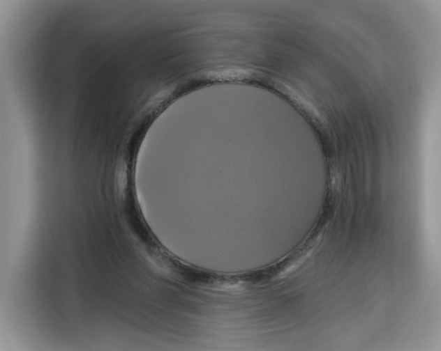X0000115090206200911241220
