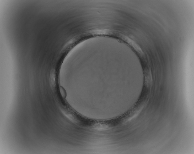 X0000115090207200911241220