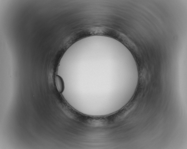 X0000115090209200911241220