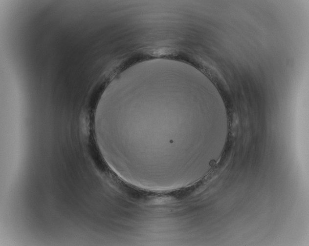 X0000115090210200911241220