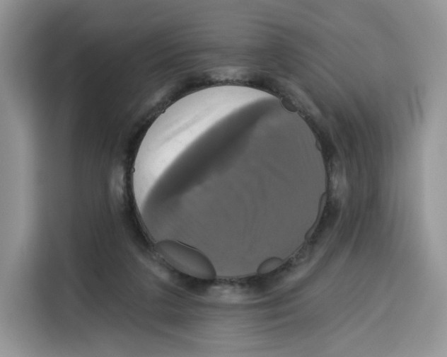 X0000115090211200911241220