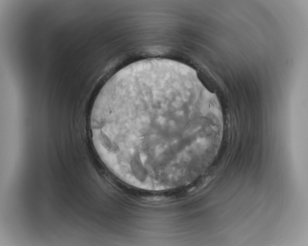 X0000115090212200911241220