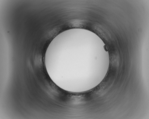 X0000115090213200911241220