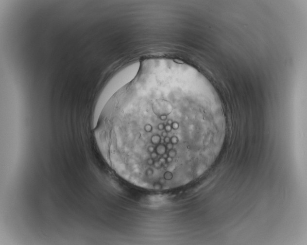 X0000115090216200911241220