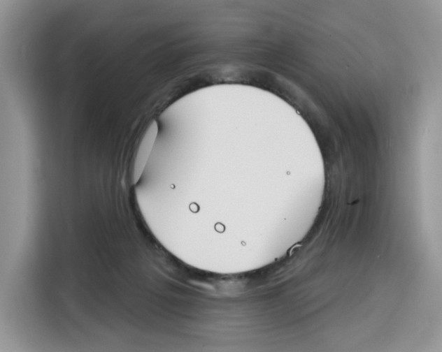 X0000115090217200911241220
