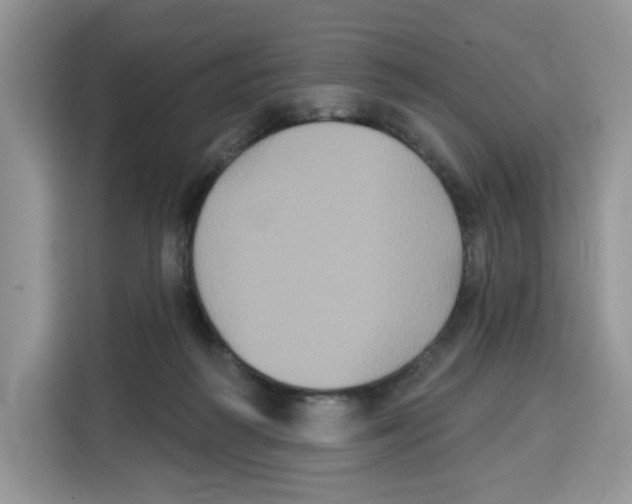 X0000115090218200911241220